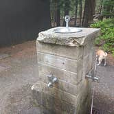 Review photo of Cougar Rock Campground — Mount Rainier National Park by Laura M., April 11, 2025