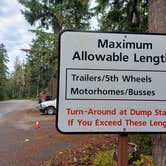 Review photo of Cougar Rock Campground — Mount Rainier National Park by Laura M., April 11, 2025
