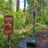Review photo of Ohanapecosh Campground — Mount Rainier National Park by Laura M., April 11, 2025