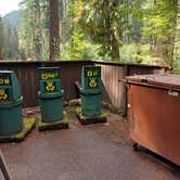 Review photo of Ohanapecosh Campground — Mount Rainier National Park by Laura M., April 11, 2025