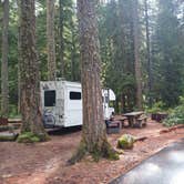 Review photo of Ohanapecosh Campground — Mount Rainier National Park by Laura M., April 11, 2025