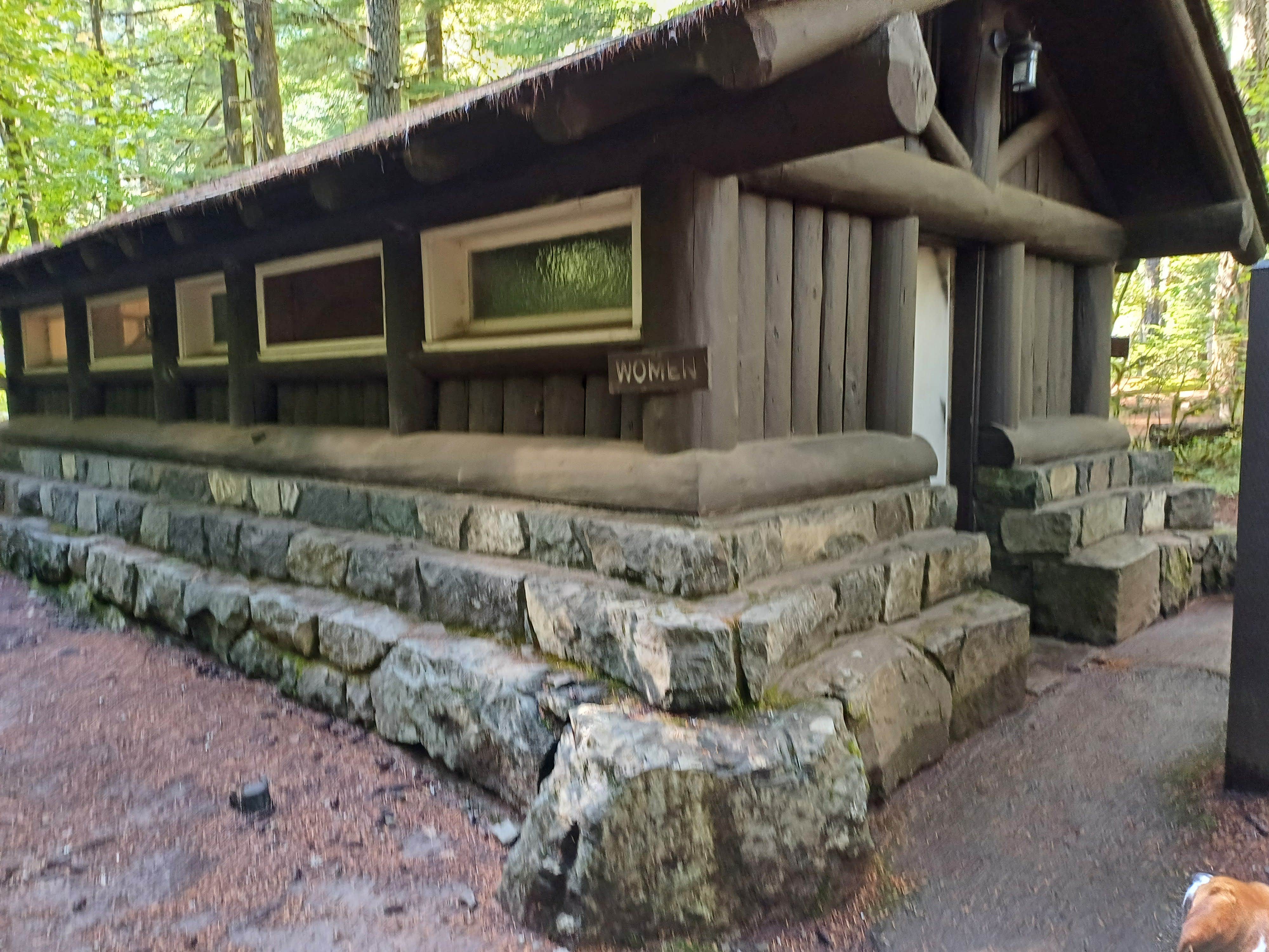 Laura M.'s photo of camping with pets at Ohanapecosh Campground — Mount Rainier National Park near Randle, WA