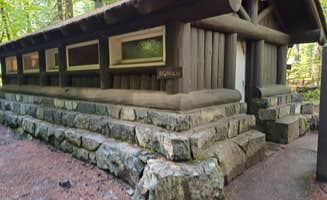 Laura M.'s photo of camping with pets at Ohanapecosh Campground — Mount Rainier National Park near Packwood, WA