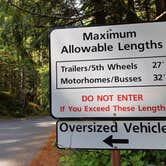Review photo of Ohanapecosh Campground — Mount Rainier National Park by Laura M., April 11, 2025