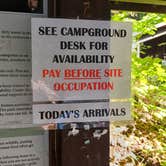 Review photo of Ohanapecosh Campground — Mount Rainier National Park by Laura M., April 11, 2025