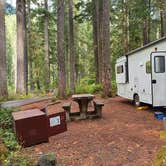 Review photo of Ohanapecosh Campground — Mount Rainier National Park by Laura M., April 11, 2025