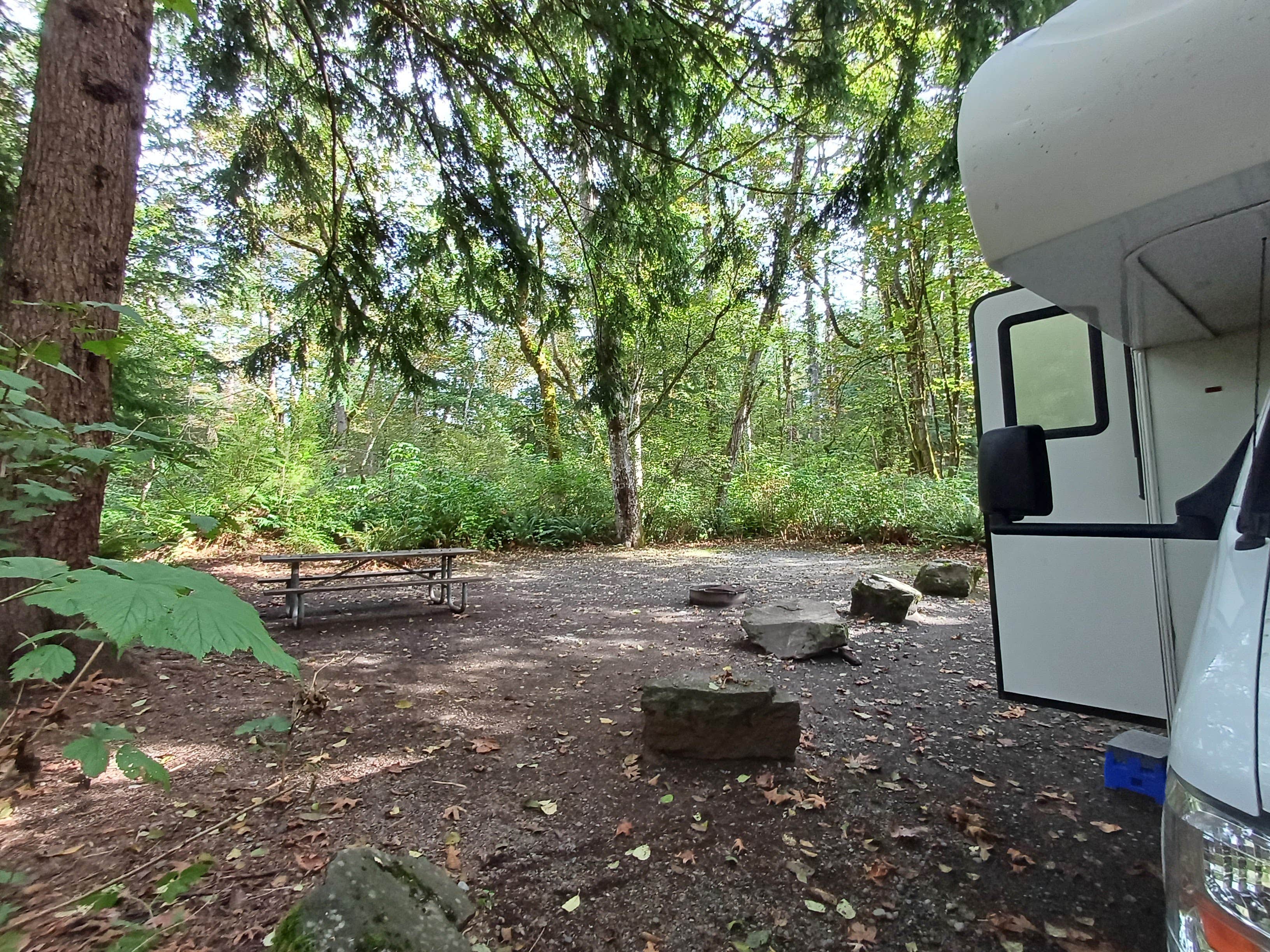 Laura M.'s photo at Kanaskat-Palmer State Park near Lake Tapps, WA