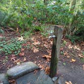 Review photo of Kanaskat-Palmer State Park by Laura M., April 11, 2025