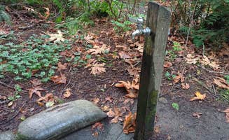 Laura M.'s photo of camping with pets at Kanaskat-Palmer State Park near Redmond, WA