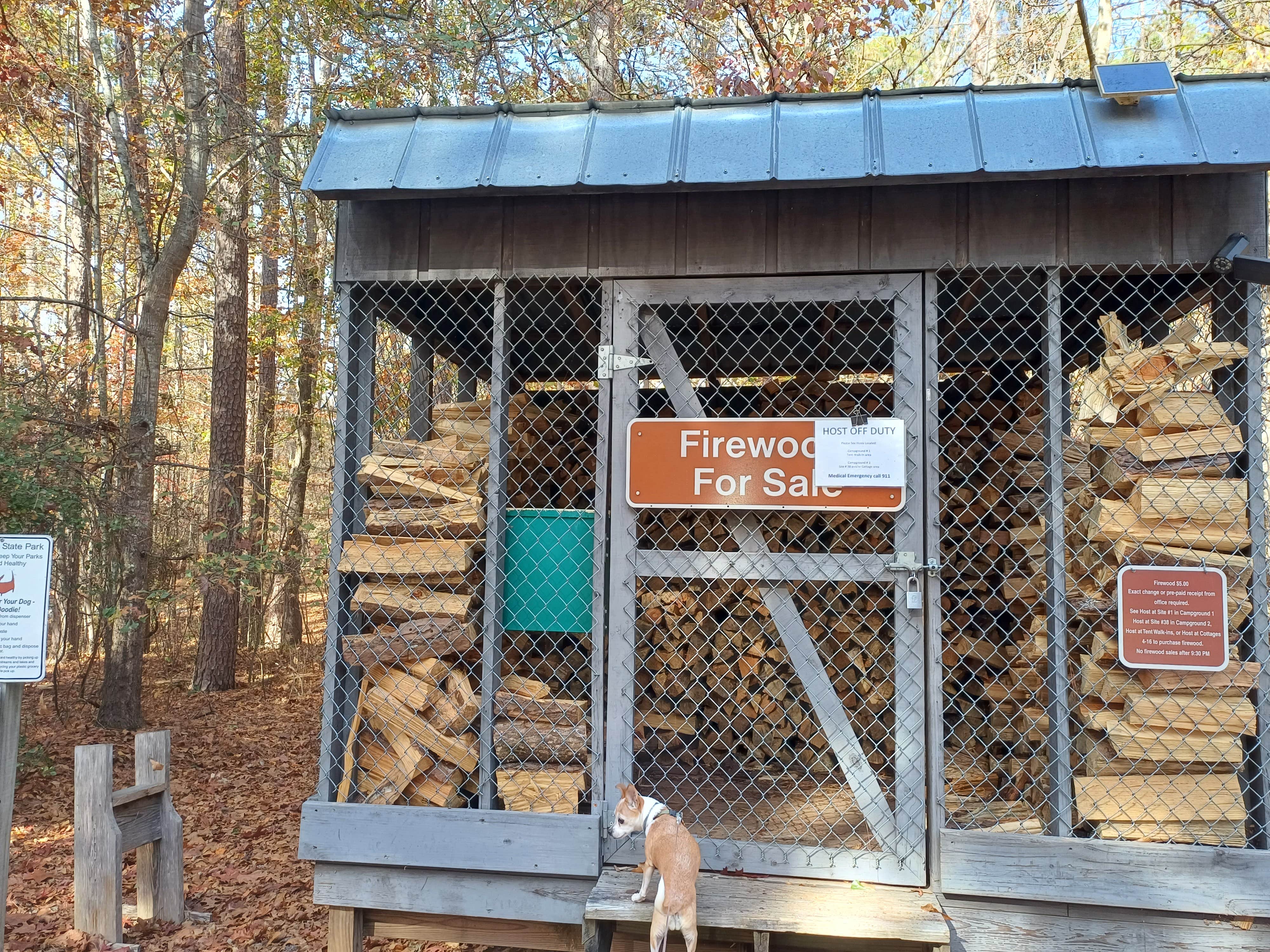 Laura M.'s photo of camping with pets at Fort Yargo State Park Campground near Lawrenceville, GA