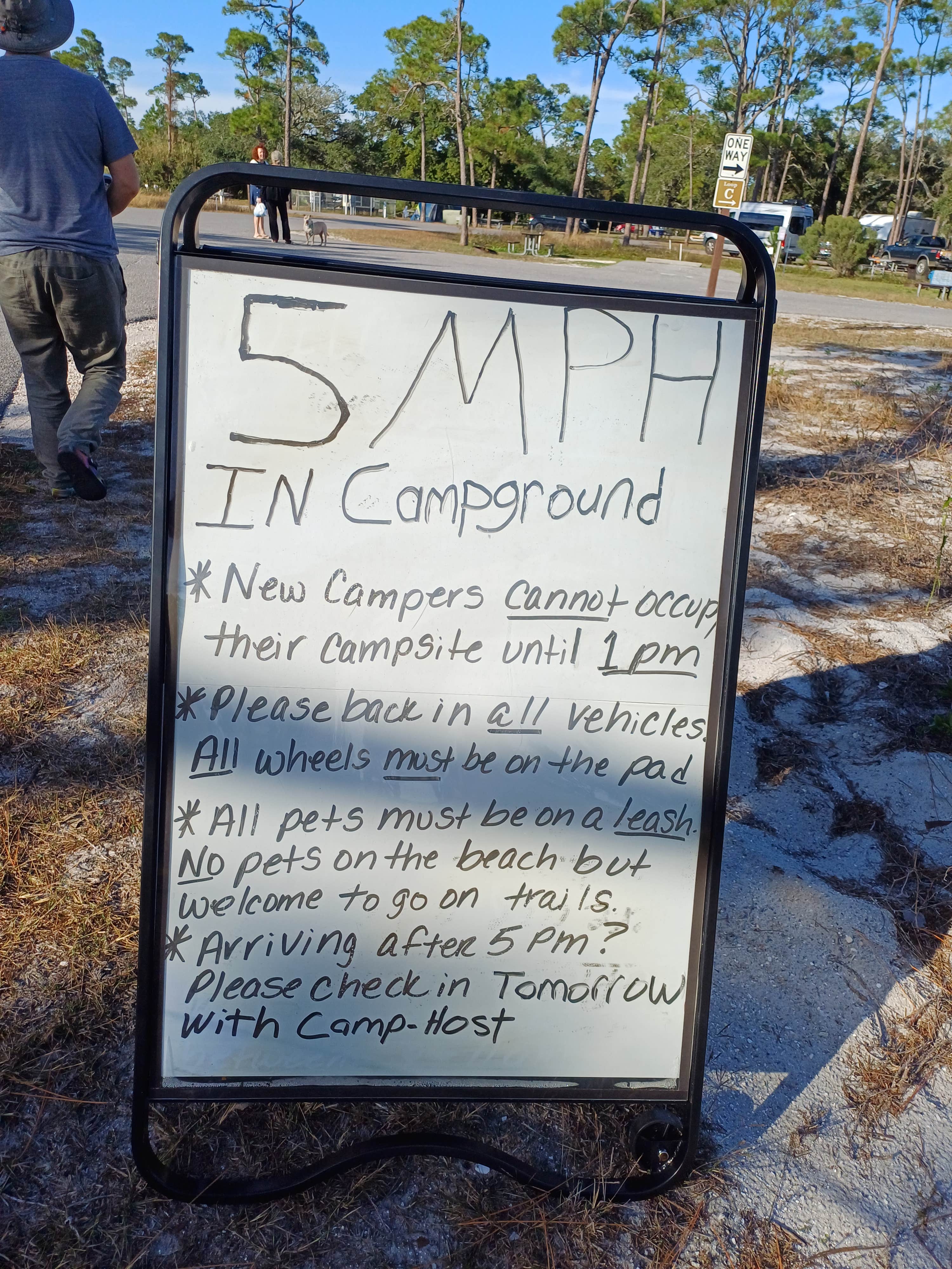 Laura M.'s photo of camping with pets at Fort Pickens Campground — Gulf Islands National Seashore near Foley, AL
