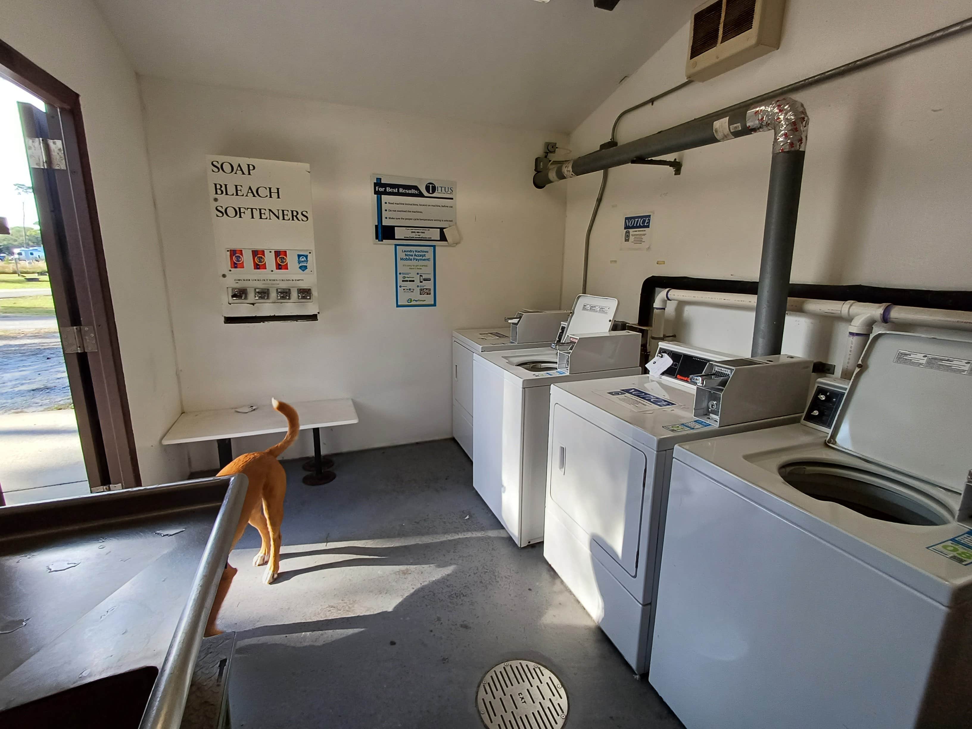Laura M.'s photo of camping with pets at Fort Pickens Campground — Gulf Islands National Seashore near Lillian, AL