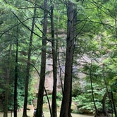 Review photo of Hocking Hills Camping by Aaron N., July 21, 2019