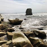 Review photo of Pismo Coast Village RV Resort by Jason M., April 12, 2025