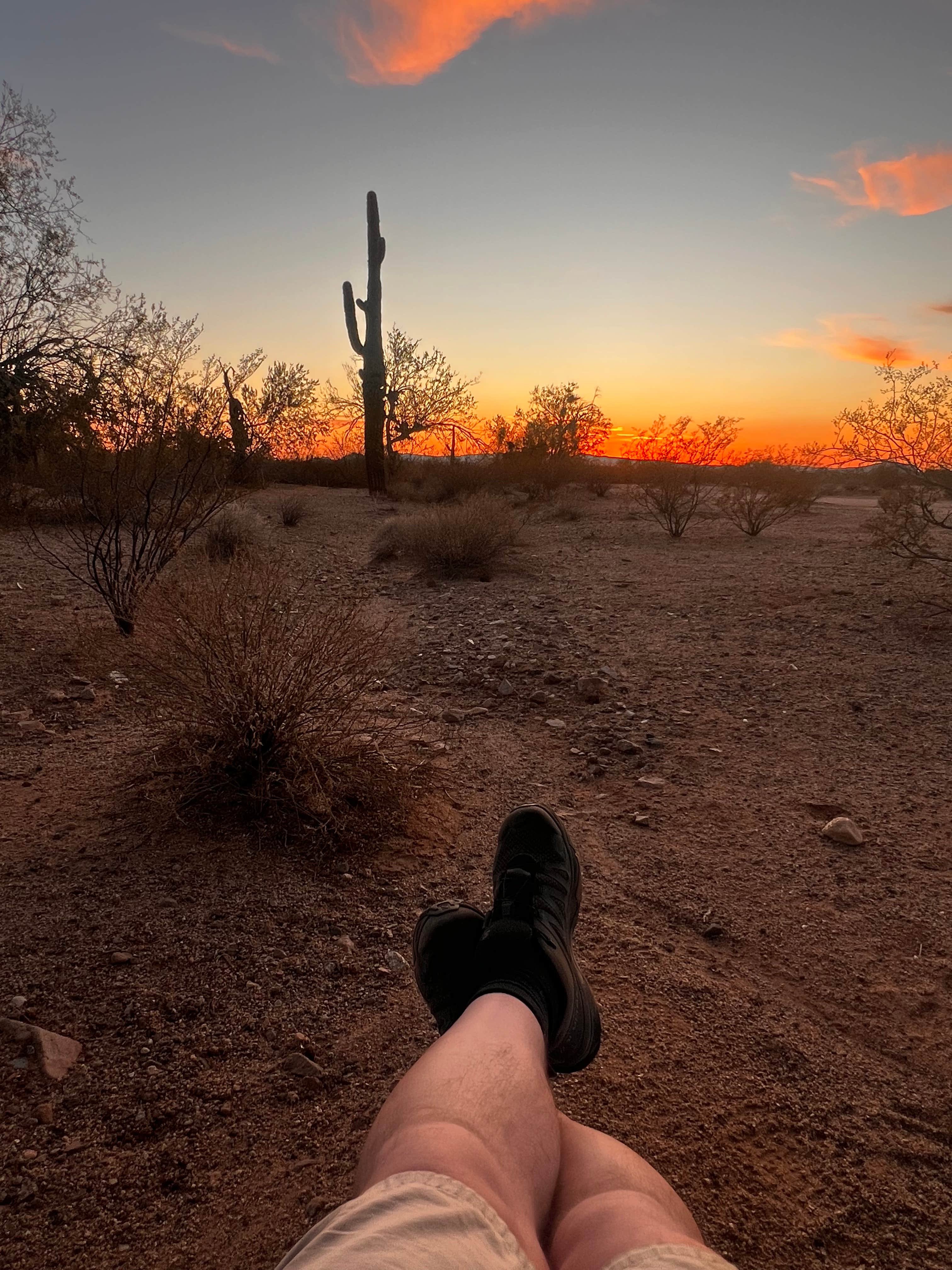 Shon H.'s photo of a dispersed camping area at Gunsight Wash BLM Dispersed camping area near Lukeville, AZ