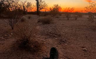 Shon H.'s photo of a dispersed camping area at Gunsight Wash BLM Dispersed camping area near Organ Pipe Cactus National Monument