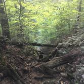 Review photo of Clifty Falls State Park Campground by Aaron N., July 21, 2019