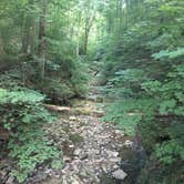 Review photo of Clifty Falls State Park Campground by Aaron N., July 21, 2019