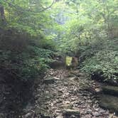 Review photo of Clifty Falls State Park Campground by Aaron N., July 21, 2019