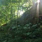 Review photo of Clifty Falls State Park Campground by Aaron N., July 21, 2019