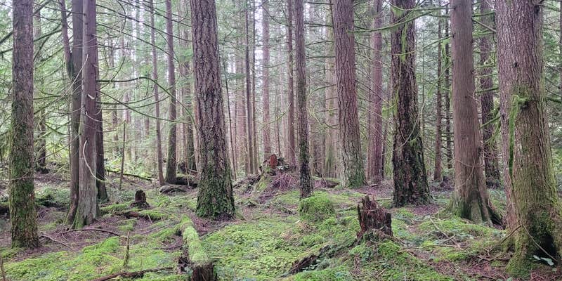 Camper submitted image from Gibsons RV park and Campground