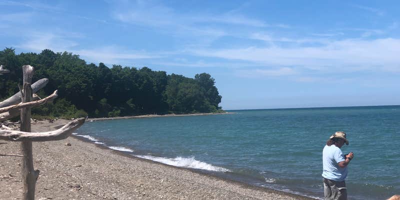 Camper submitted image from Westfield-Lake Erie KOA