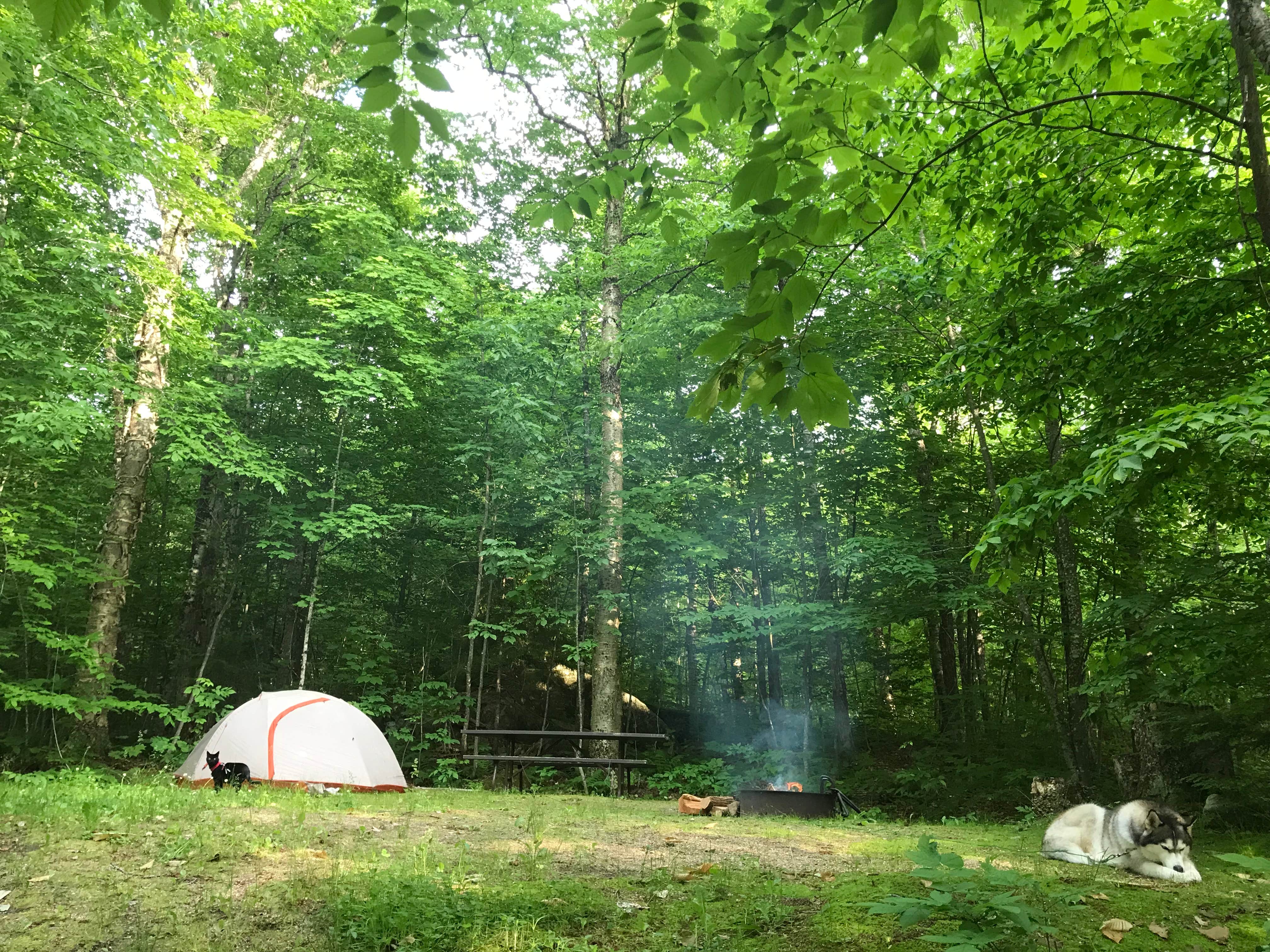 Kaelin P.'s photo at Maidstone State Park — Maidstone State Forest near Sutton, VT