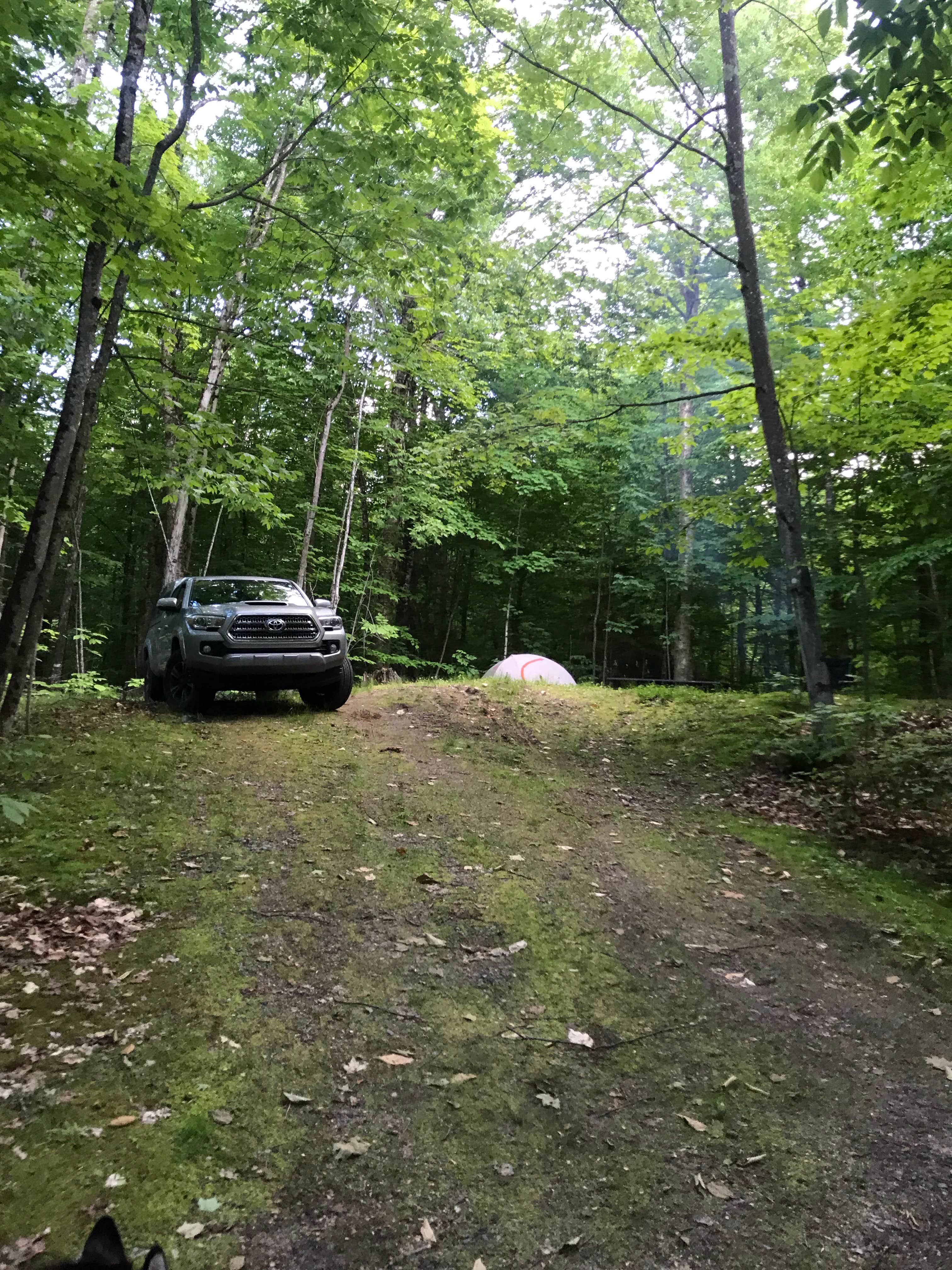 Camper submitted image from Maidstone State Park — Maidstone State Forest - 3
