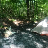 Review photo of Mount Philo State Park Campground by Kaelin P., July 21, 2019