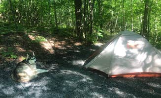 Kaelin P.'s photo of tent camping at Mount Philo State Park Campground near Berlin, VT