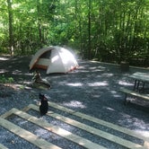 Review photo of Mount Philo State Park Campground by Kaelin P., July 21, 2019