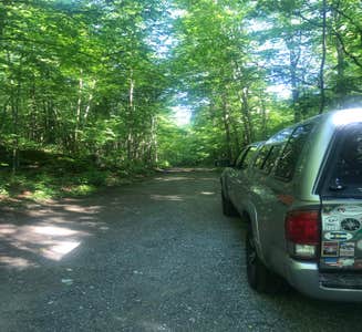 Camper-submitted photo from Mount Philo State Park Campground