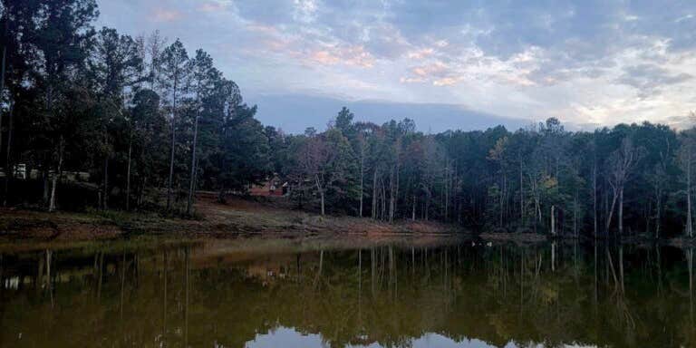 Camper submitted image from Barnwell Mountain RV Park