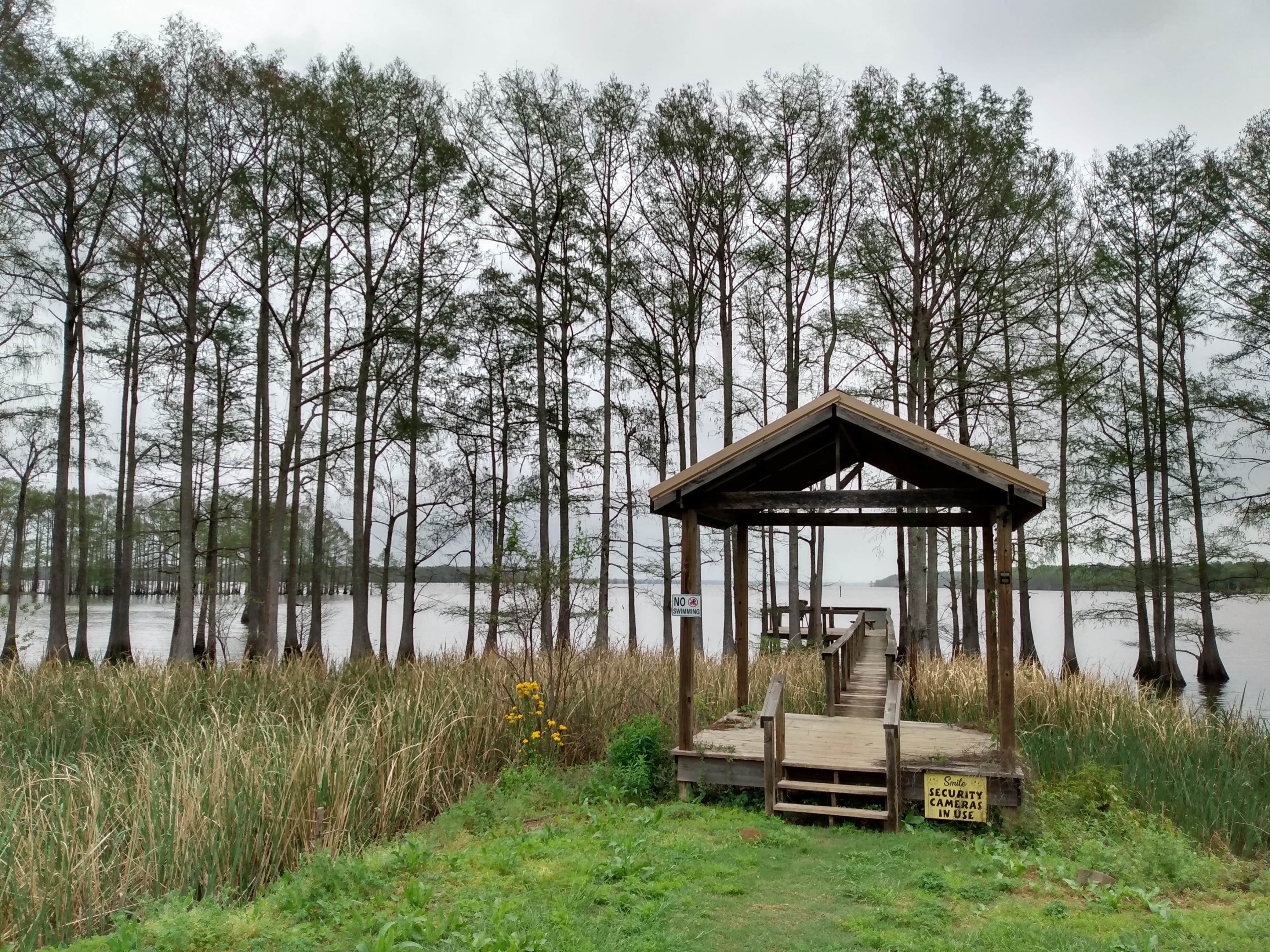 Camper-submitted photo at Buzzard Bay Landing and RV Park near Blanchard, LA