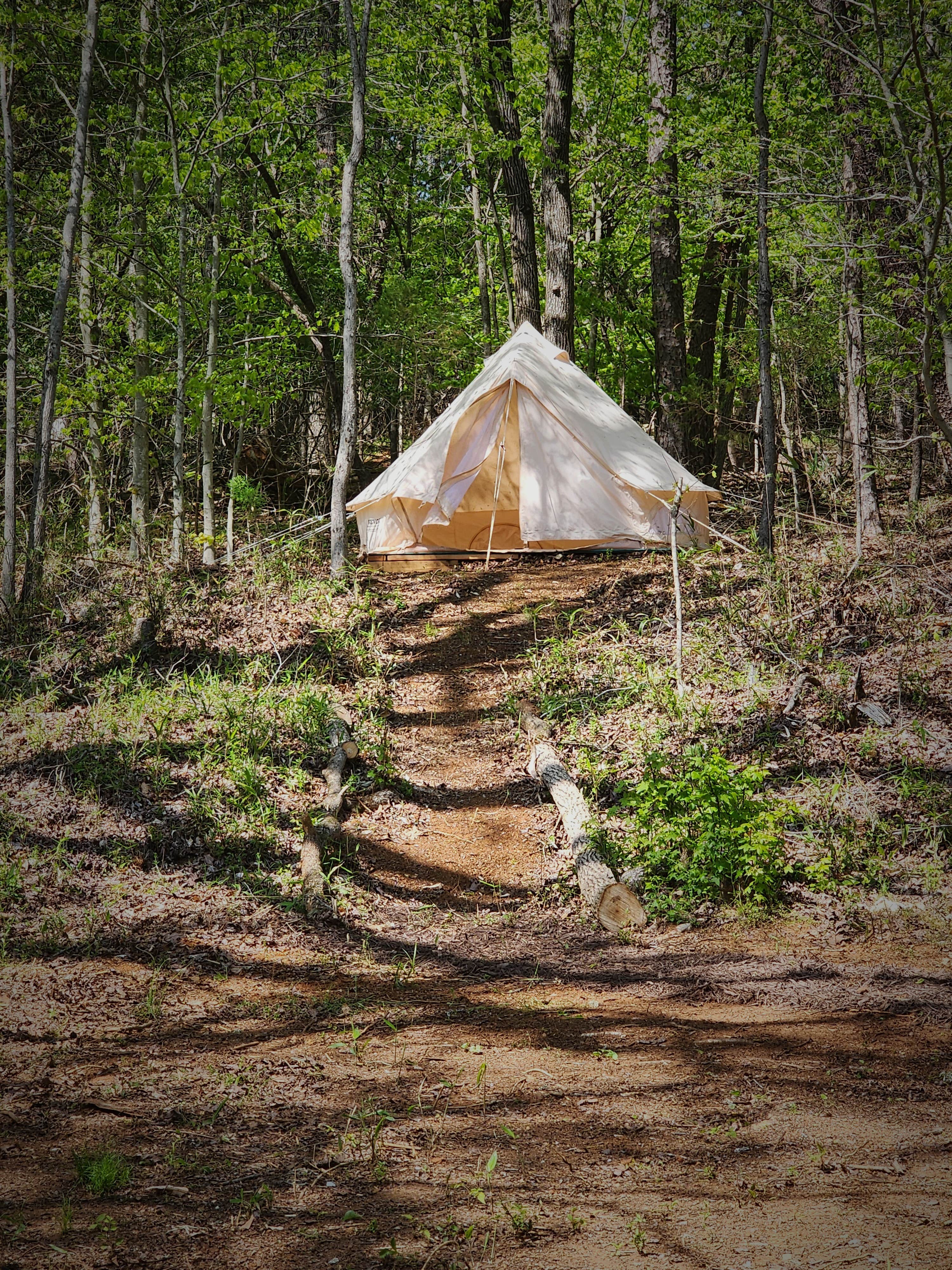 Tina M.'s photo at Covenant View Camp and Retreat near Signal Mountain, TN