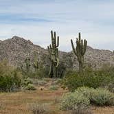 Review photo of White Tank Mountain by Michelle W., July 21, 2019