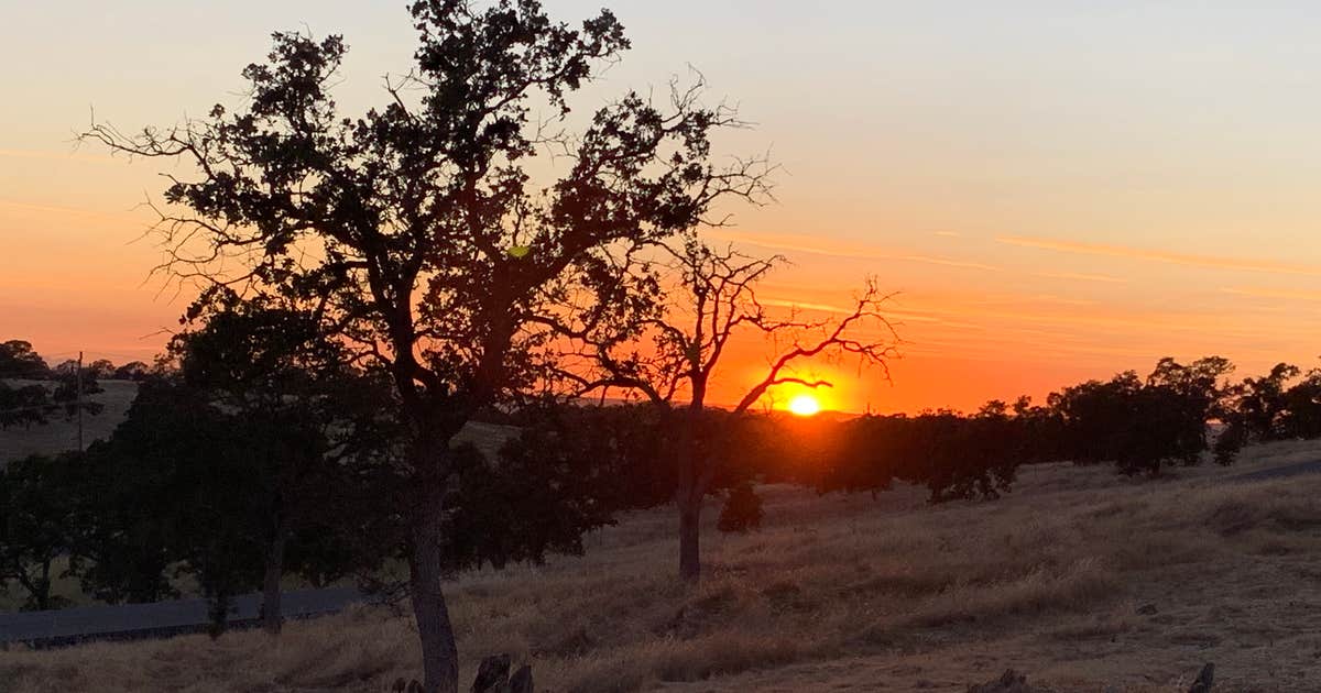 Blue Oaks Don Pedro Recreation Area