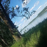 Review photo of Cross Ranch State Park Campground by Caroline W., July 21, 2019