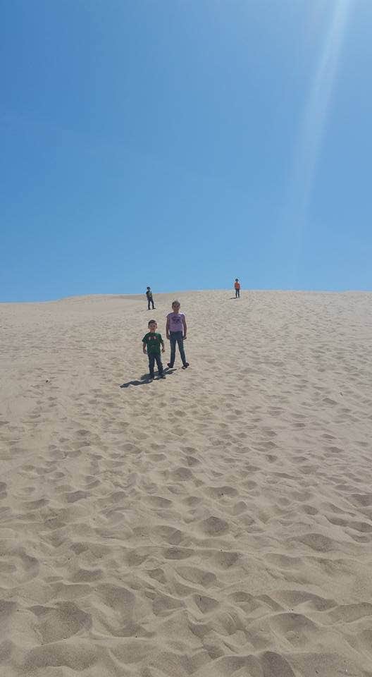 Camper submitted image from Imperial Sand Dunes RA - Pad 5 - BLM - 1