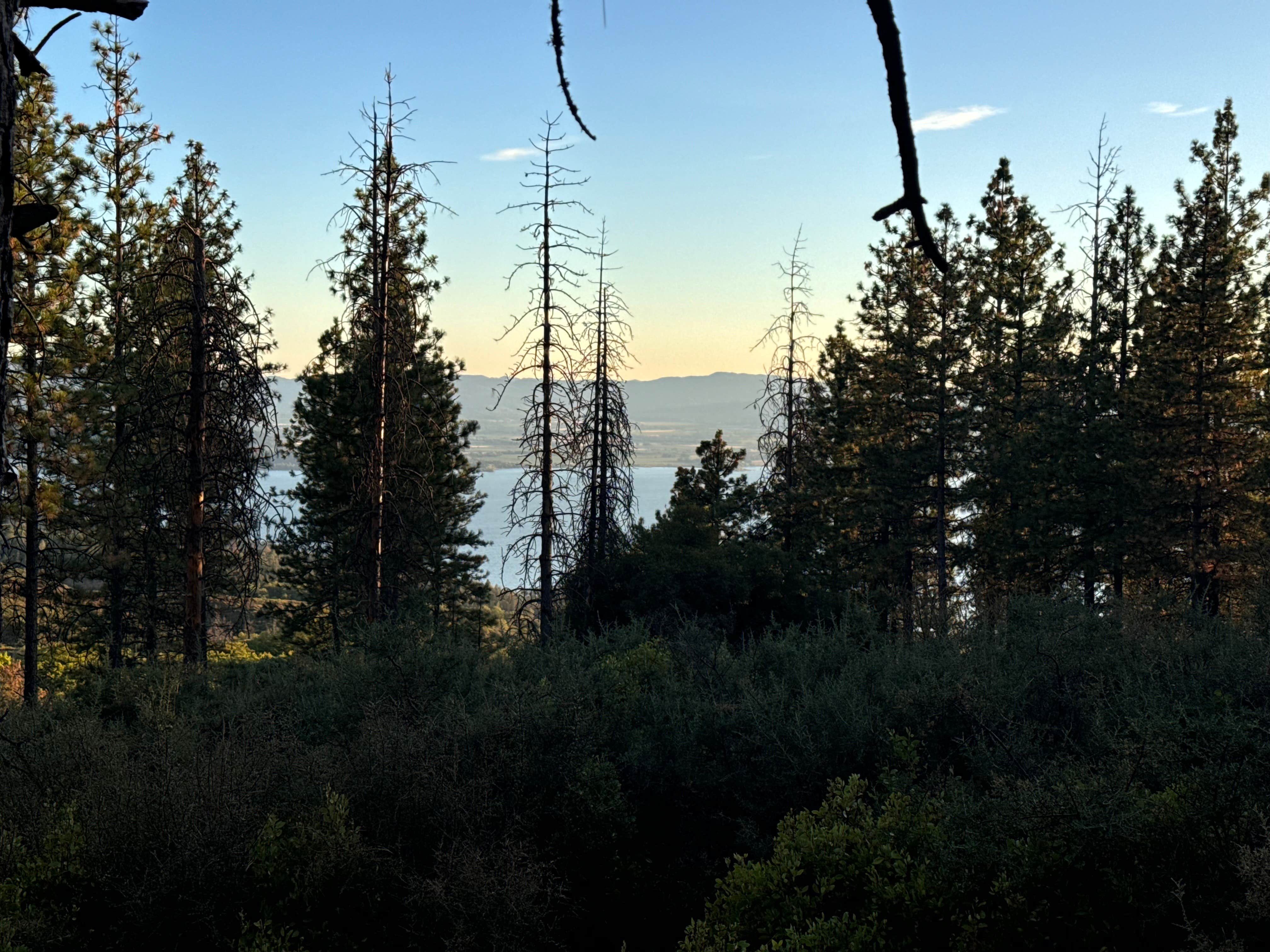 Camper-submitted photo at Lakeview Dispersed Campground near Stonyford, CA