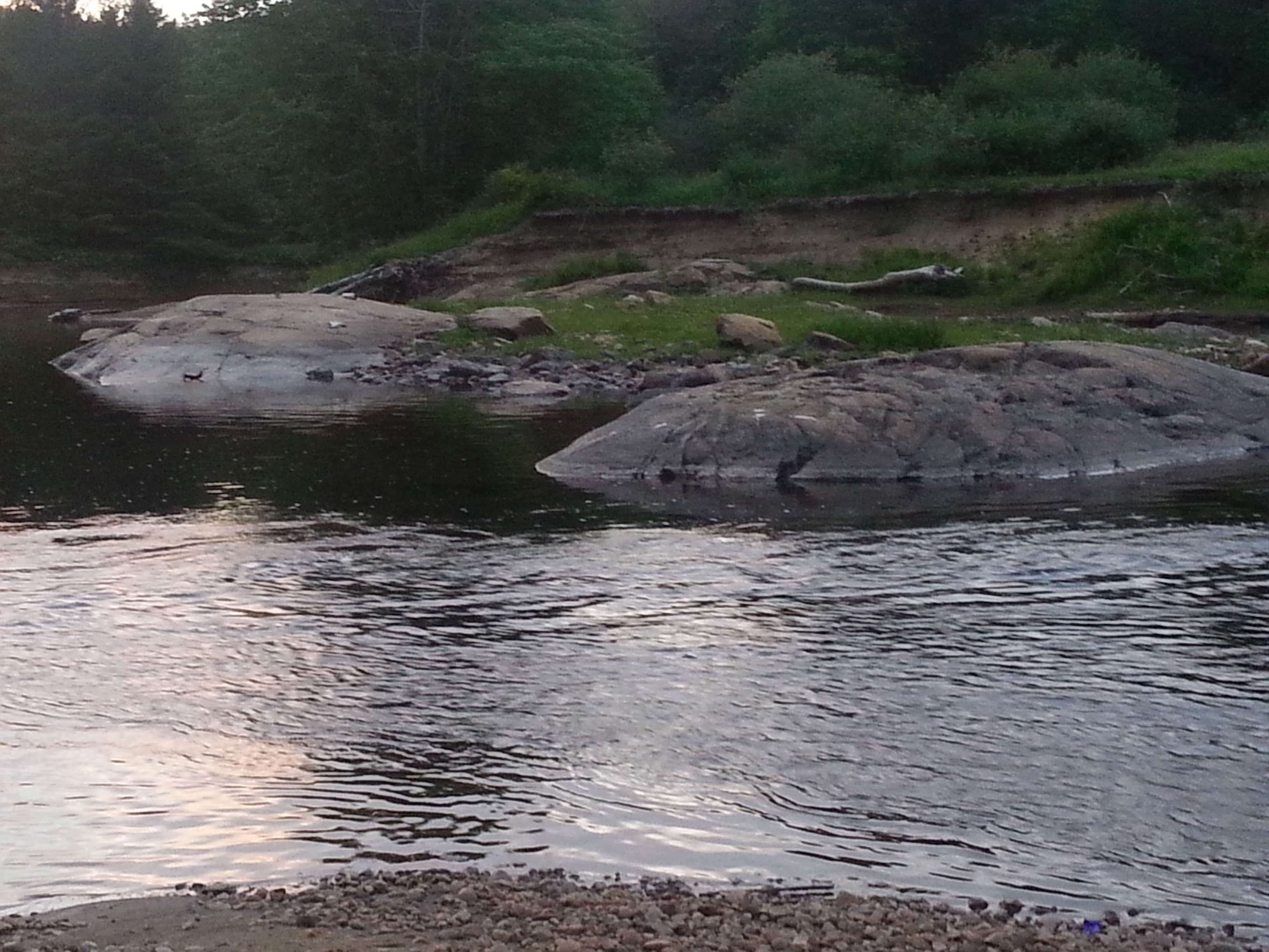 Camper-submitted photo at Adirondack Acres Trail and Camps near Keeseville, NY
