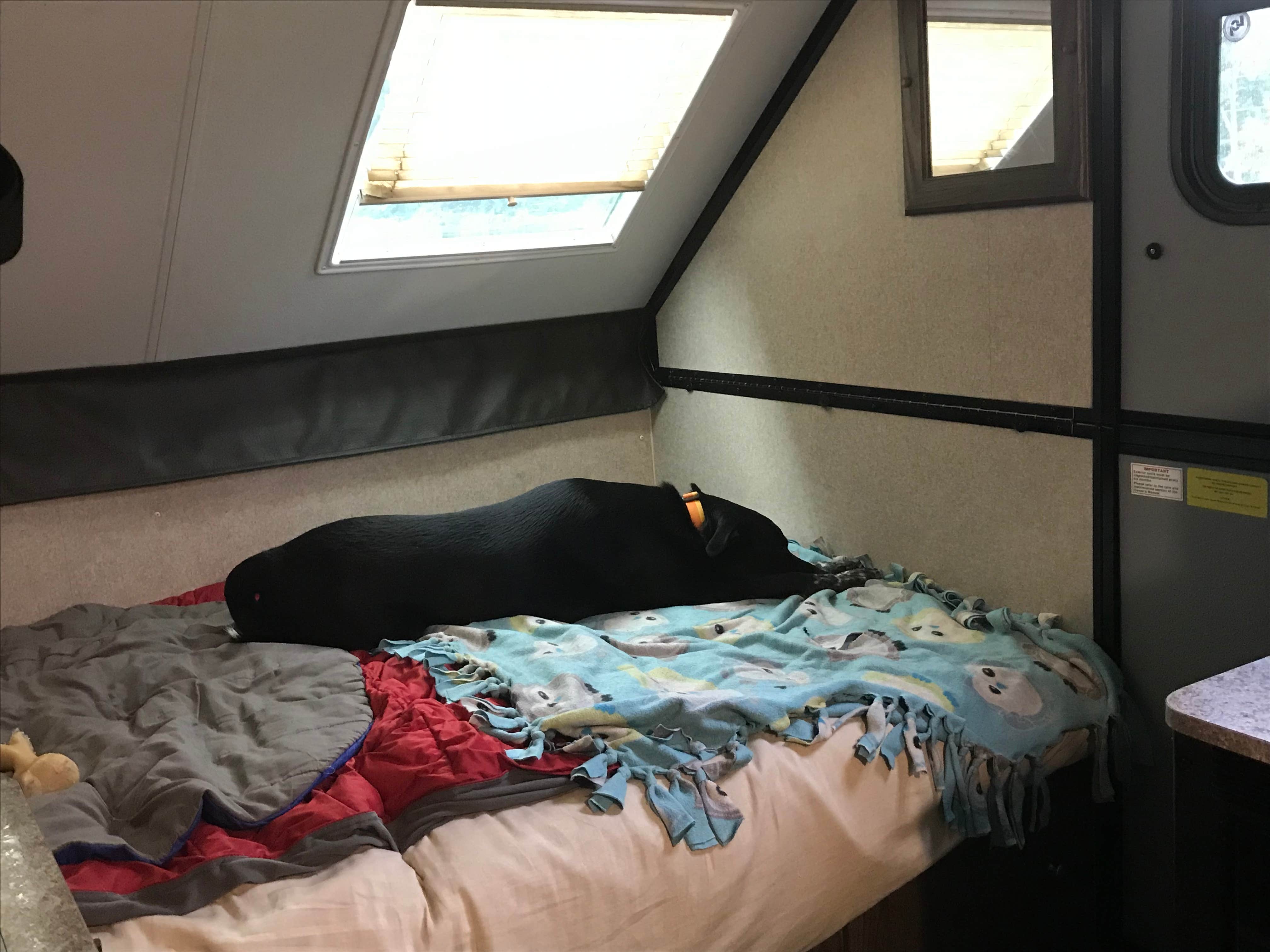 Shannon G.'s photo of glamping accommodations at West Branch State Park Campground near Beachwood, OH