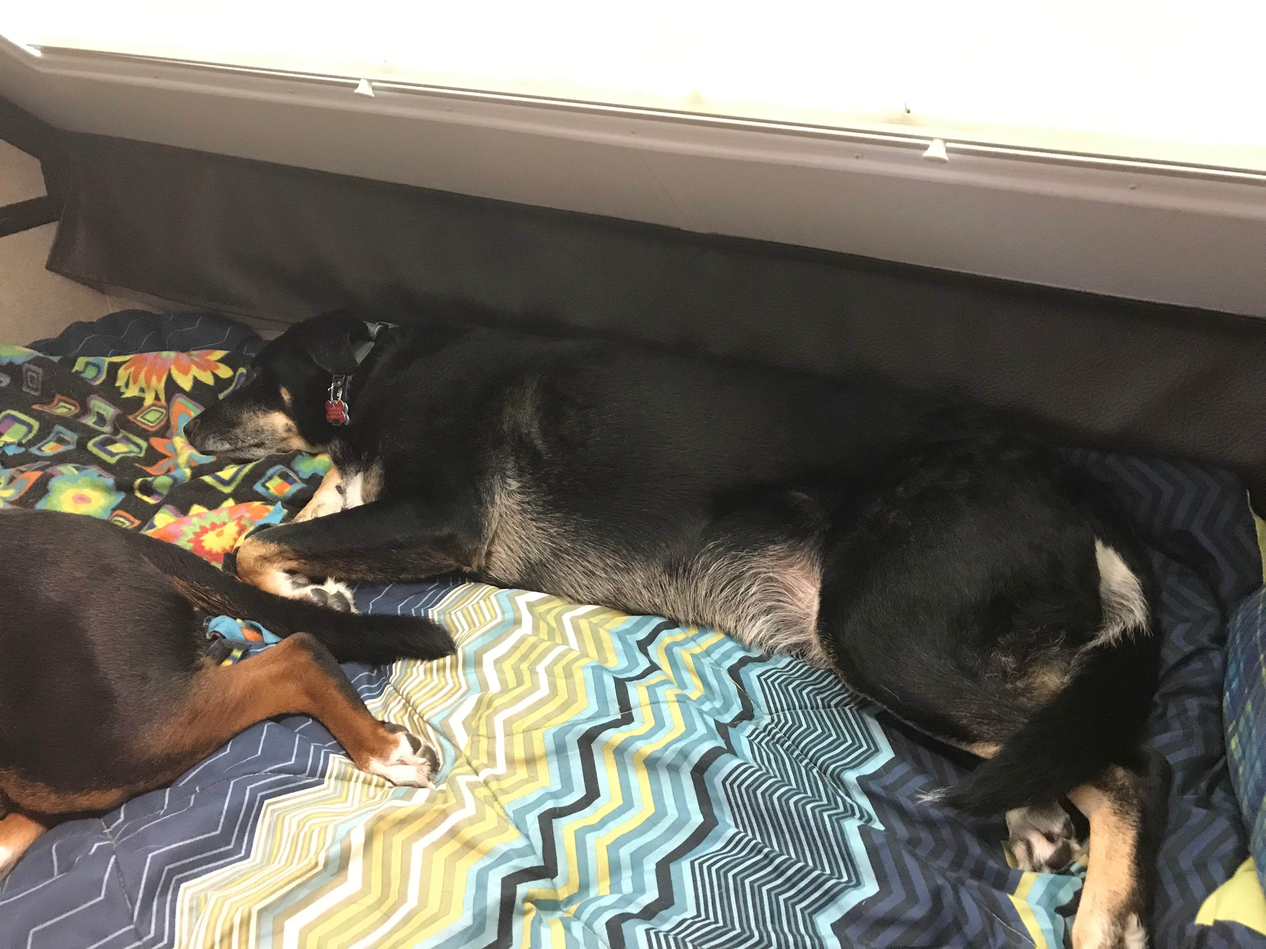 Shannon G.'s photo of glamping accommodations at West Branch State Park Campground near Rocky River, OH