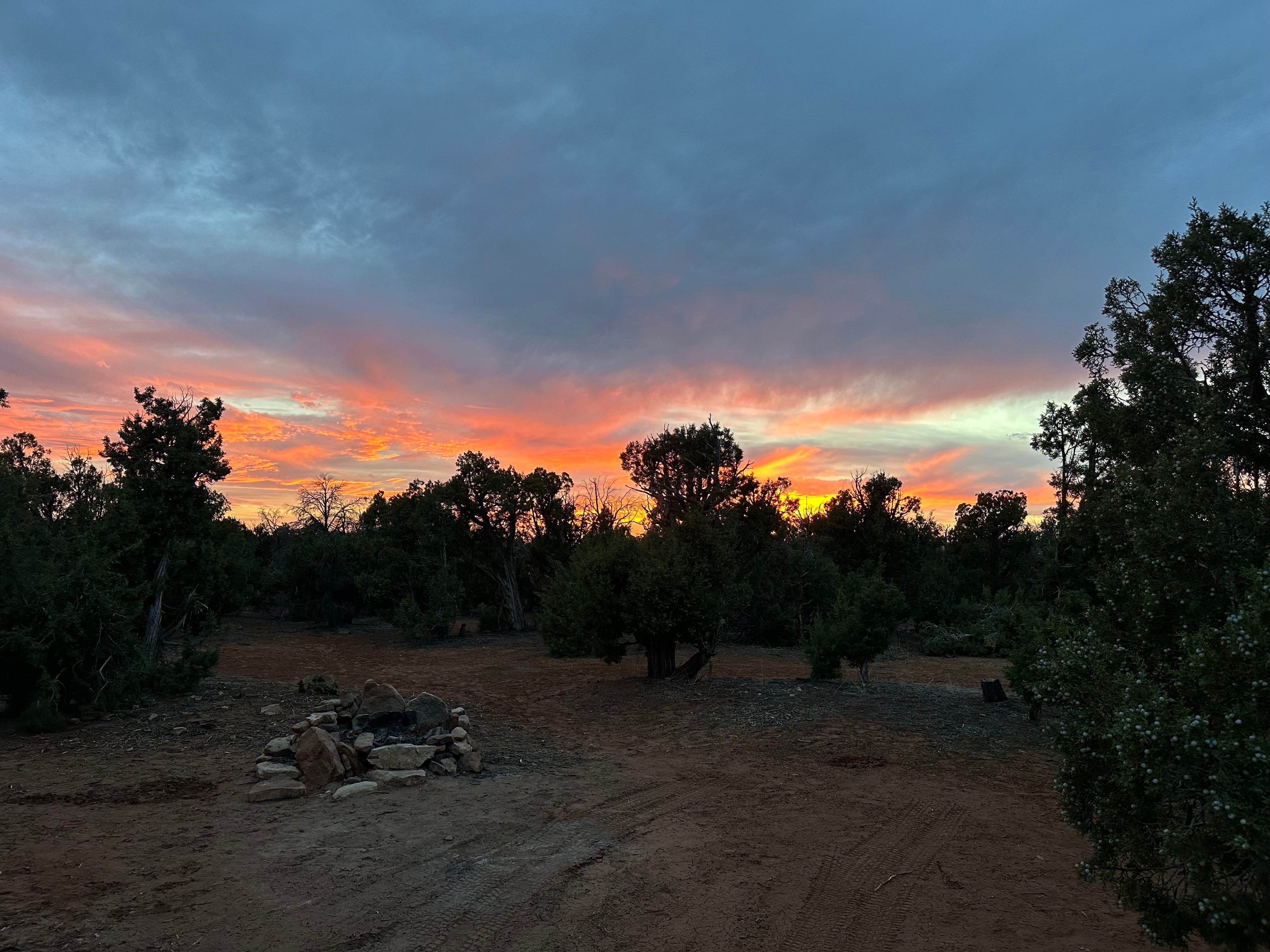 Jon A.'s photo of a dispersed camping area at Burch Canyon Road near Natural Bridges National Monument near Blanding, UT