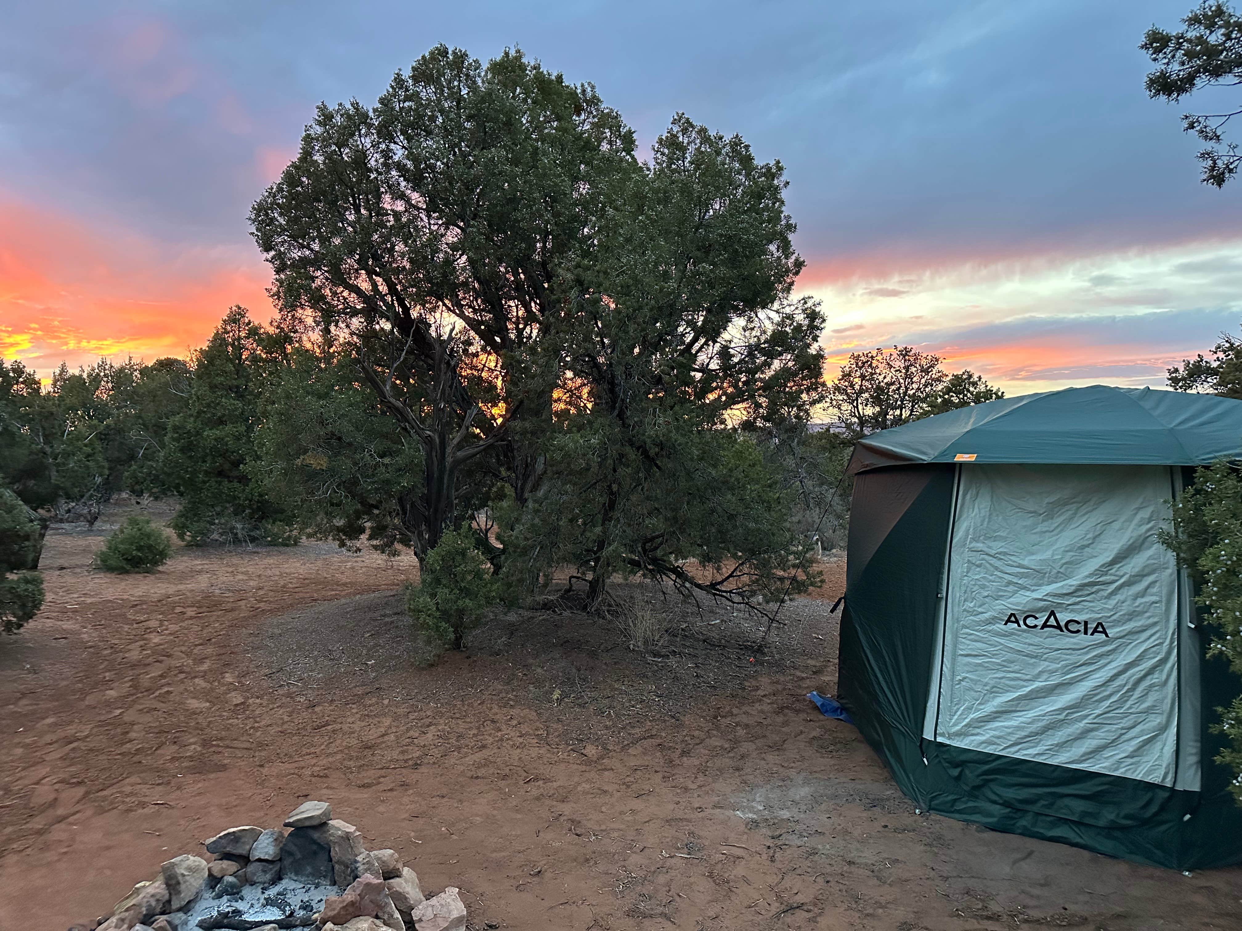 Camper submitted image from Burch Canyon Road near Natural Bridges National Monument - 1