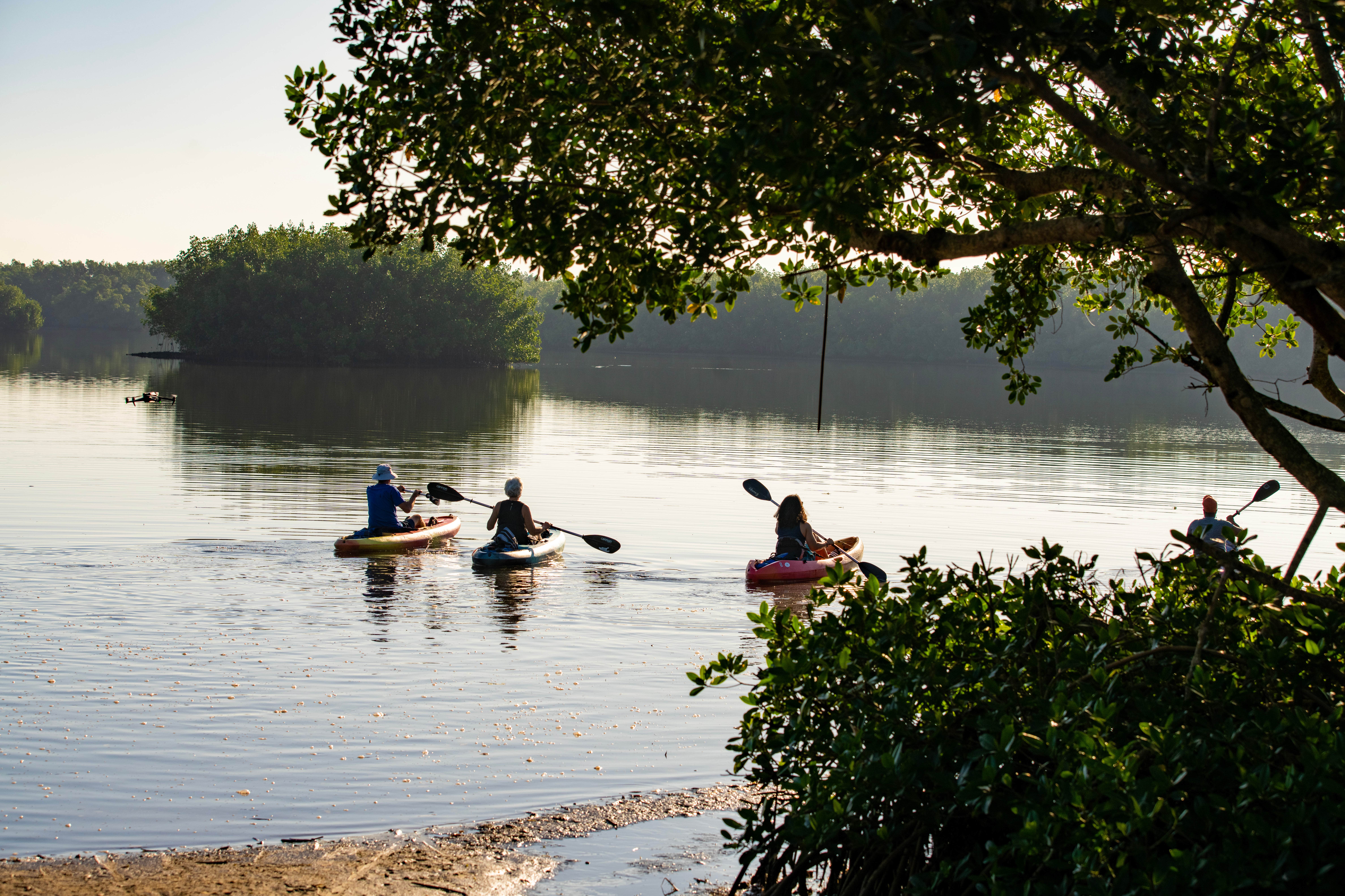 Camper-submitted photo at St. Petersburg-Madeira Beach KOA Holiday near Tampa, FL