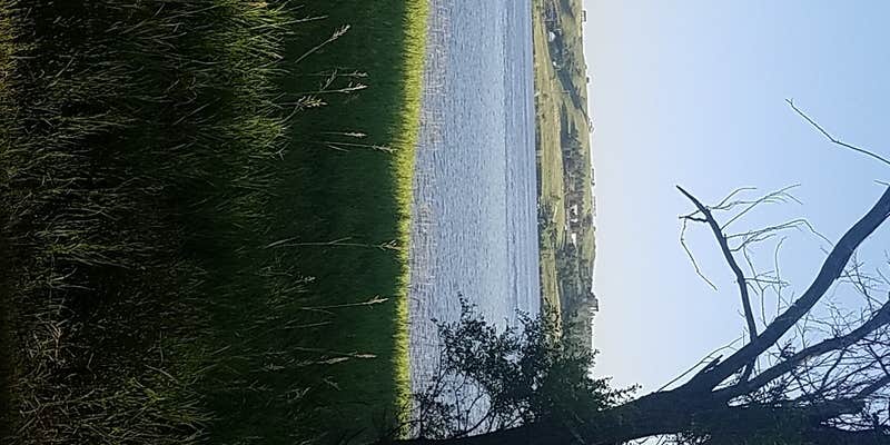 Camper submitted image from Beaver Creek - Lake Oahe