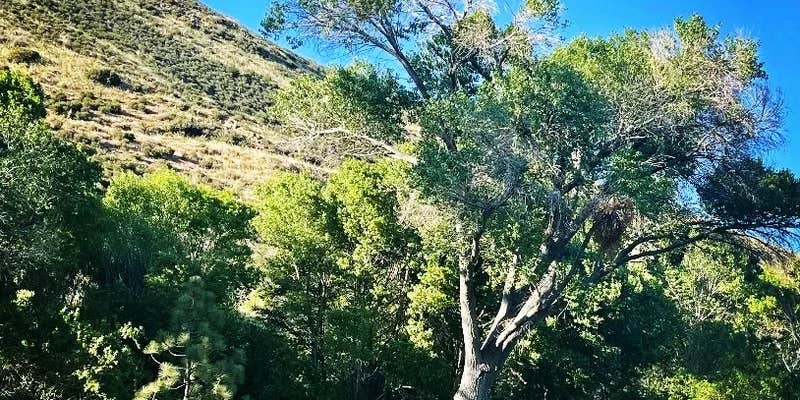 Camper submitted image from Banner Ranch Julian