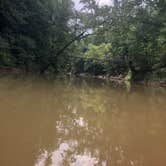 Review photo of Red River Gorge Adventures by Vince B., July 21, 2019