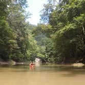 Review photo of Red River Gorge Adventures by Vince B., July 21, 2019